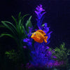 Glow in the Dark Silicone Aquarium Fish Ornament (Clownfish, Angelfish, Guppy, Upside-Down Catfish)