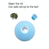 Catnip Vocal Ball Toy, Wool, Pink/Blue/Yellow, Batteries Included