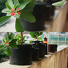 1 Gallon Planting Grow Bag Thickened Non-woven Aeration Fabric Pot Container with Handle