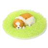 Warm Round Pet Bed, Small, Green - Cosy Plush Wool