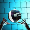 MILACHIC Fluorescent Volleyball No.5 PU Machine Stitched Volleyball(6930 Night Light)
