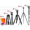 TRIOPO K2508S+B1S Adjustable Portable  Aluminum Alloy Tripod with Ball Head for SLR Camera(Black)