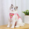 Cat Recovery Suit, Red, L | Post-Surgery Wear, Anti-Licking