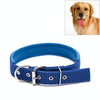 Soft Padded Pet Collar, Blue, 1.5cm x 39cm, Small Dogs/Cats