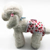 Dog Season Pants, XS, Reusable & Washable, Female