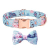 Rose Gold Buckle Dog Collar, Blue Bow, L (38-60cm)