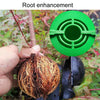 2pcs Plants Growth High Pressure Box Spherical Root Controller Grafting Root Cases, Model: S Green 50mm