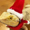 Christmas Lizard Costume, Hat & Scarf Set
