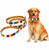 Colourful Stripe Dog Lead, 1.5x120cm, Small/Medium Pets