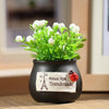 Mini Car Potted Ornaments Decoration Simulated Flower Pots, Style: Lucky Fruit Black Bottle