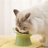 Slanted Pet Bowl, Anti-Spill, Neck Protection, Grass Green - Cat & Dog