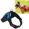 Blue Dog Harness Chest Strap, Small - Breathable & No-Pull Design
