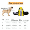 Inflatable Dog Life Jacket, S | High-Vis & Foldable