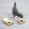 Bamboo Elevated Ceramic Cat Bowl - Single