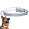 Reflective Velvet Dog Collar, Blue, Medium (CL181K)