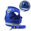 Reflective Dog Vest & Lead, Blue, Large | Breathable Mesh