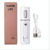 Facial Steamer Nano Steamer Handy  Face Moisture Sprayer Rechargeable Mini USB Charging Automatic Alcohol Sprayer(white)