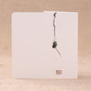 10 PCS Classical Painting Holiday Greeting Card(Cicada 05)