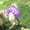 Dog Nappies, Washable & Waterproof, Female, Purple, L (48-65cm Waist)