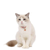 Adjustable Blue Pet Collar with Bell, S (17-32cm) - Cat & Dog