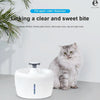 2.5L Pet Water Fountain, Electric & Filtered, LED Indicator