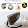 BAIJIALI PX-53U Champagne Gold Multi-band Retro Pointer Radio USB Plug In Card Radios