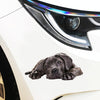 Style 2 Large 3D Simulation Dog Car Stickers Rain-Proof Sunscreen Car Sticker Scratch Shaving Decoration Stickers