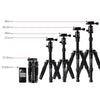 TRIOPO T226 Adjustable Portable  Aluminum Alloy Tripod with D-0 Ball Head for SLR Camera