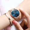 OLEVS 5869 Ladies Business Waterproof Steel Strap Quartz Watch(Blue + Rose Gold)