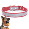 Reflective Red PU Leather Dog Collar XXL | CL181K