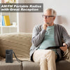 J-180 Portable Pointer FM/AM Two-Band Radios With Carrying Clip, Style: Regular Version(Black)