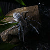 HENGJIA 8cm 7g Lua Spider Soft Bait Bionic Mimic Bait, Color: 3