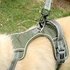Reflective Bungee Dog Lead | Green | Stretchy Nylon | Strong & Durable