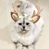 Christmas Antler Headband for Dogs & Cats - Large