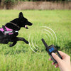 Dog Training Collar - 1000m Remote, Shock, Vibrate, Beep - Red