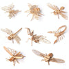 5 PCS MQY005 Children Educational Early Education DIY Hand-Assembled 3D Animal Model Puzzle Toy(Grasshopper)