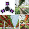 LED Plant Lamp Full Spectroscopy Red And Blue Fill Light Plant Growth Lamp, Power: E26 216 Beads