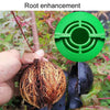 2pcs Plants Growth High Pressure Box Spherical Root Controller Grafting Root Cases, Model: S Transparent 50mm