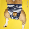 Dog Nappies XXL Blue Striped, Female & Male, Absorbent Period Pants