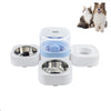 Automatic Pet Water Fountain & Stainless Steel Food Bowl - Blue
