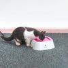 Floating Pet Water Bowl, 1.5L, Pink - No Spill Dog & Cat Bowl