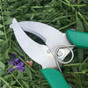 Fruit Tree Cutting Shears Seedling Stripping Scissors Garden Planting Branch Bark Cutter(Green)