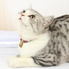 Handmade Cat & Dog Collar with Bell, Red, Large (30+7cm)