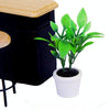 3 PCS Green Plant Pot Culture Doll House Miniature Garden Accessories