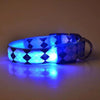Rechargeable LED Dog Collar, Plaid Blue, L (45-52cm)