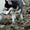 Breathable Dog Shoes, Blue, Size 4 (5.5cm), 4 Pack