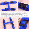 Blue Nylon Cat Leash & Harness - Adjustable, Escape Proof