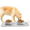 Foldable Silicone Pet Bowl - Green, Double, Anti-Spill