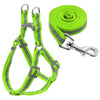 Reflective Dog Lead Set, Green, Small (S) - Nylon