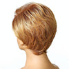 WIG-181 Ladies Short Curly Hair High Temperature Silk Wig Chemical Fiber Headgear(Brown+Gold Yellow)